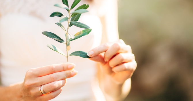 Couples & Family Counselling - In Person & Virtual