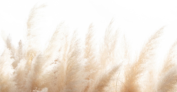 Couples & Family Counselling - In Person & Virtual