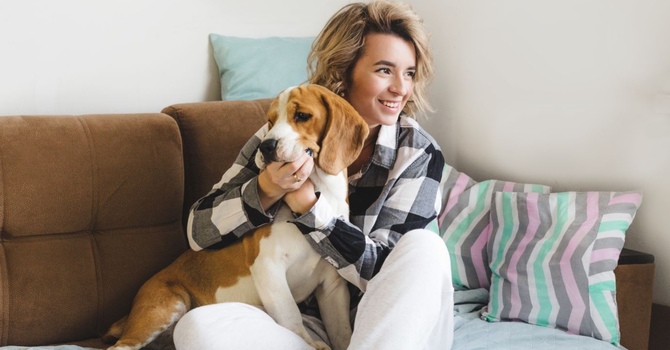 Canine Support Sessions - With Willow