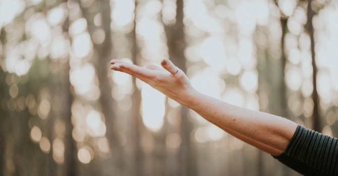 Individual Counselling - In Person & Virtual